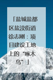 盐城盐都区盐渎街道徐志刚：项目建设工地上的“啄木鸟”